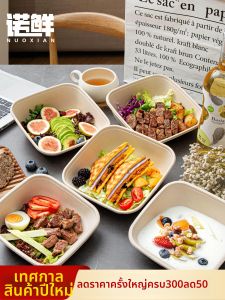 NUOXIAN | Eco-friendly Paper Pulp Lightweight Meal Box