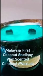 Premium Scented Candle in Coconut Shell With Free Plantable Seed Card