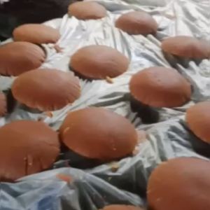 Gula merah kelapa Asli 100% Murni Gula Jawa Batok Nira Organik Super Kebumen Murah 1 kg500/250gram Kemasan Gula Merah 500 Gram - Lazada