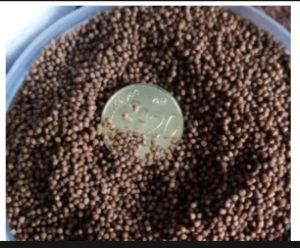 semaster fish food  Pallet seamaster f00 500g makanan ikan fish food ikan laga guppymolly cupang pallet ikan plastik ikan laga betta  Groomer  groom  pallet cacing  jentik  bbs  artemia  sauk  dropper