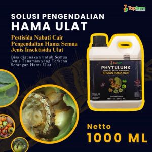 Obat Ulat Dosis Tinggi & Solusi Hama Ulat Daun