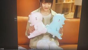 Soft Stuffed Animals Dino Plushies Soft Birthday Gifts for Kids Girls Boys Cute Stuffed Dinosaur Toy Plush Doll