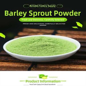 Pure Barley Leaf Breakfast Meal Replacement Powder 500g