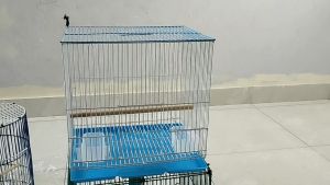 Lồng sơn tĩnh điện - lồng chim màu nuôi hút mật khuyên nan 08 trống chuột