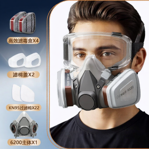 Toxic Gas & Formaldehyde Protection Face Mask