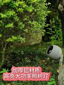 SXH  Outdoor Waterproof Small Spotlight Tree Light Outdoor Landscape Lawn Light Ground Stake Light Floodlight 12V24v