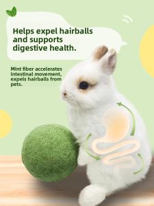 VOA | Dental Chewing Toy for Dwarf Rabbit Guinea Pig and Petaurista 1