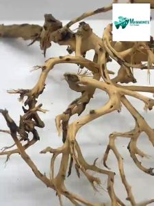 Hawaiian Driftwood for Aqua Scaping Fish Tank Set up
