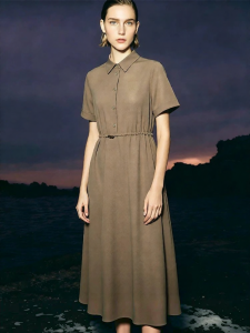 AMII | Summer Japanese Style Mandarin Collar Half Open Elastic Waist Short Sleeve Dress Medium Long
