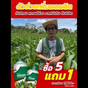 อะมิโนโปรตีนแรปเตอร์ อะมิโนโปรตีนจำเป็นสำหรับพืช 18ชนิด ไดโนเร็กซ์ (Monopotassium Phosphate Fertilizer, 18% N)