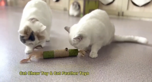 Catnip Cat Toy Cat Molar Stick Cat Teething Stick Cat Lollipop Licking Fun Teasing Cat Snacks Treats 猫薄荷球