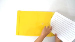 Eagle Files Map Plastik Warna Solid Tali Punggung Data Bag Vertikal Horizontal Folder Dokumen File F4 Folio Isi 6 Pcs