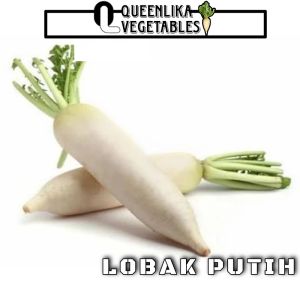 lobak putih segar 1kg