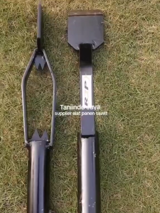 Dodos sawit kastrasi Siap Pakai Berkualitas terbaru