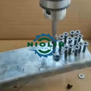 500pcs Black Screw for Wood