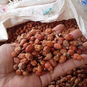 Buah laos atau buah laza 100 gram