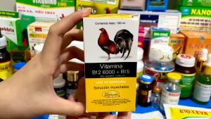 B12 6000 + B15 - CHAI 10ML - (KÈM KIM CHÍCH) TĂNG NƯỚC MÁU CHO GÀ ĐÁ