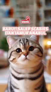 NOVAMOS Salep Scabies Jamur Kucing dan Anjing Obat Gatal Gudik Koreng Ampuh