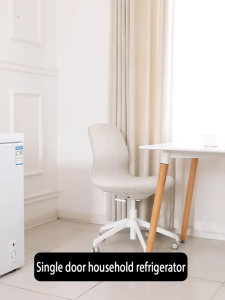 COD refrigerator variable-frequency energy-saving mini freezer multi-functional upright freezer