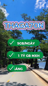( SIÊU RẺ ) Sim 4G 5G Vinaphone Gói BIG50Y -> THAGA70N - MIỄN PHÍ Data Truy Cập Y0UTBE  TIKT0P  FB + 5GB/NGÀY CHO ỨNG DỤNG KHÁC - SIM MIỄN PHÍ 1 THÁNG ĐẦU - PHÍ GIA HẠN CHỈ 70K/THÁNG . FREESHIP _CHƯA KÍCH HOẠT