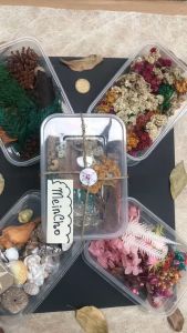 Paket Bunga Kering MIX Import Aneka Kolase Kerang Akuarium Christmas Decor Rustic Dried Flower