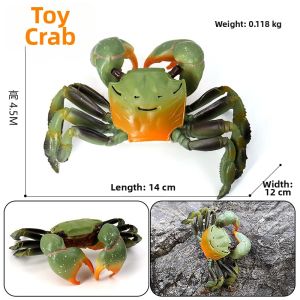 Realistic Ocean Animal Model Children Toy