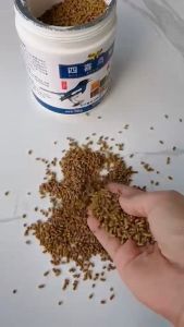 อาหารนกบินหลา อาหารนกบินหลาดง อาหารนกกางเขนดง อาหารนกกรงหัวจุก อาหารนกกินแมลง พร้อมส่ง