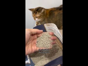 Tải 7 Bao Cát Vệ Sinh Đất Sét Dành Cho Mèo Citycat 8L 4kg Khử Mùi Tốt Siêu Vón và Ít Bụi Tiết Kiệm