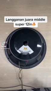 PREMIUM - Speaker JIC LS 12075 - 12 INCH