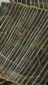 杜仲 100g Du Zhong Eucommia Bark 四川杜仲丝