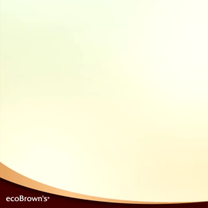 [40g] ecoBrown’s Brice Himalayan Salt Flavoured Wholegrain Rice Puff