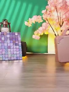 ORANGE  กระเป๋าเดินทางขนาด 12 นิ้ว กระเป๋าเดินทางขนาดเล็ก กระเป๋าเครื่องสำอางแบบพกพา พกพาสะดวกขึ้นเครื่อง (กระเป๋าเดินทาง)