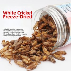 SHANLINA | Crickets Freeze Dried Food Pet Food