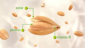 Roma Sari Gandum Sandwich Susu & Coklat 39gr Snack Cemilan Anak Sehat Murah