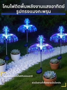 BEAUTY IN THE LIGHT | Solar Waterproof Outdoor Decorative Lighting
