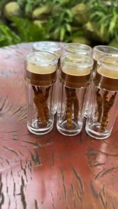 Đông trùng Tây Tạng 5g size 3 hình thật khô nguyên con đựng ống nhựa không hộp quà