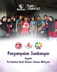 [PAKMANSORFARM] BITACAT VITAMIN KUCING GEMUK KIBBLES UPHAVIT READY STOCK ORIGINAL HQ BITACAT
