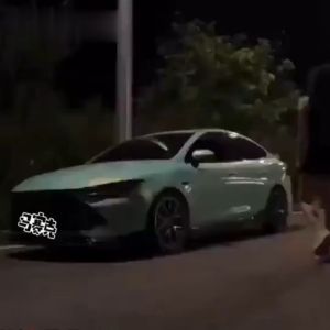 12V LED DRL Car Hood Light Strip Car Engine Hood Guide Decorative Ambient Lamp Scan Starting Waterproof