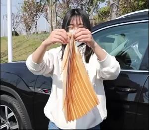 2 Chiếc Tấm Che Nắng Ô Tô Rèm Cửa Sổ Tự Động Bảo Vệ Sự Riêng Tư Chống Tia UV Lá Chắn Polyester Mỏng Cho Phụ Kiện Nội Thất