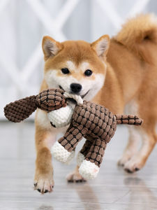 Petone dOrage | Squeaking Teeth Cleaning Durable Boredom Relief Dog Toy