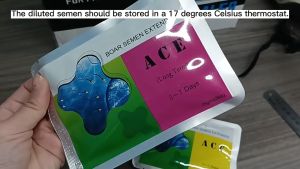 Ace boar semen extender long term 5-7 days Semen extender for pig Semen extender mIII Minitub semen Boar semen