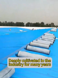 Aluminum Foil Butyl Waterproof Tape For roof leak Roof Sealant Wall Crack Pandikit Sa Bubong Tape