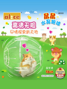 Enis Hamster Running Ball Hamster Toy/Sport Ball/Hamster Grounder Hamster Fitness Ball Djungarian Hamster