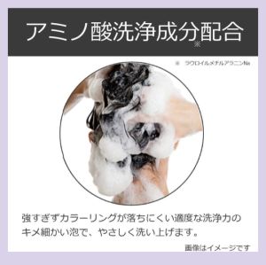 【Direct From Japan】Anna Donna Every Color Shampoo 5 Shades/300ml Alcohol-Free Color-Protecting