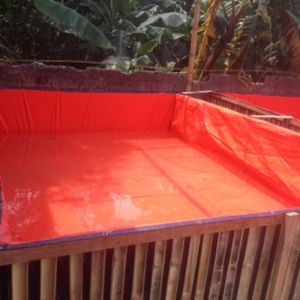 Kolam Terpal Ikan Kotak 100x50x50 / 50x100x50 / 1x05x05 / 05x1x05 Terpal Kolam Untuk Budidadya Ikan