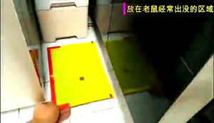 5/10/20PCS Mouse Rat Glue Trap Rodent expert/Rat Glue snare sticker mice board Mouse & Rat Trap Glue Board Sticky mouse board mouse glue trap Mouse Sticky Board Bait Traps COD