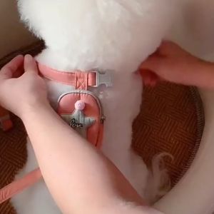 Adjustable Dog Harness with backpack Puppy Chest Vest Back with Leash Pet Harness Set