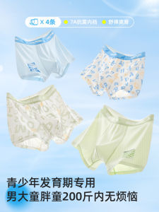 Ice Silk Boys Underwear Childrens Innerwear Modal Fabric Teenage Development Period Comfortable Breathable Antibacterial Shorts