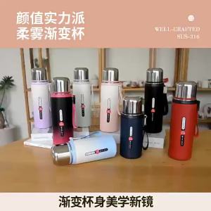 Stainless Steel Insulated Tumbler