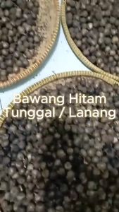 Black Garlic Bawang Hitam Tunggal HERBAL BERMACAM KHASIAT - BAWANG TUNGGAL HITAM PREMIUM